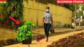 😂😂😂She Didn't Expect This! Hilarious Bushman Prank.