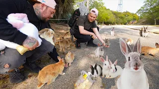 Bunny's Took Over This Japanese Island | EXPLORING JAPAN