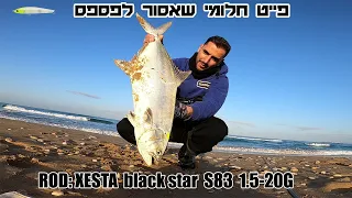 דיג אריען מהחוף על סט לייט | xesta s83 | דייג בזירזור