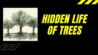 Hidden Life Of Trees