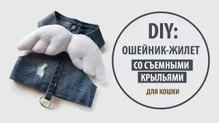 DIY: Джинсовый ошейник-жилет со съемными крыльями для кошки | Tutorial Jeans recycle