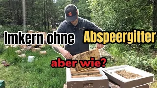 Imkern ohne Abspeergitter | Aber wie? | Bienenvolk ohne Königin ??