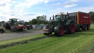 Second cut silage 2024