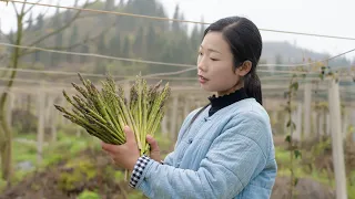 How to cook several Chinese dishes with asparagus, simply｜ 野小妹wild girl