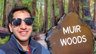 MUIR WOODS How to Get There? | San Francisco to Muir Woods