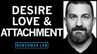 The Science of Love, Desire and Attachment | Huberman Lab Podcast #59