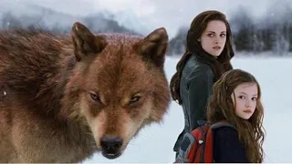 Сумерки. Сага рассвет часть2 Битва #twilight