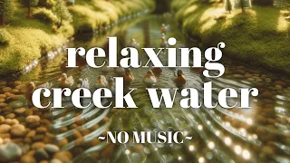 One Hour Focus Time | Relaxing Studying Soothing Creek Water Stream Nature Background | No Music 4k