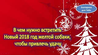 В чем нужно встретить Новый 2018 год желтой собаки, чтобы привлечь удачу