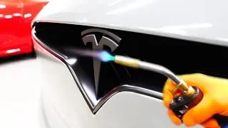 I Can't Believe He Did This To My Tesla!