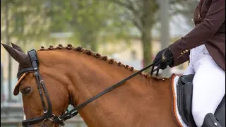 Hall of Fame ☆ Equestrian Music Video