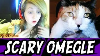 Scary Prank on Omegle 10 - Funny Cat Scare