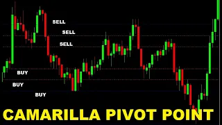 Camarilla pivot point trading basic rules | Camarilla Level Pivots Indicator MT4 Free Download