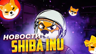 SHIBA INU НОВЫЕ ПРОЕКТЫ - ОБНОВЛЕНИЯ И НОВОСТИ SHIB - ДОНАТ В ИНДИЮ И ПРИЕМ ПЛАТЕЖЕЙ SHIB