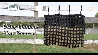 What's the Best Outdoor Hay Feeder to Use?