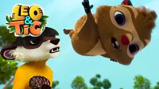 Leo and Tig 💥 लियो और टिग  💥 ऊँची उड़ान💥 बच्चों के लिए मज़ेदार कार्टून ✨ Super Toons TV