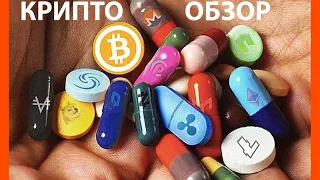 ОБЗОР КРИПТЫ [Альтсезон продолжается...]