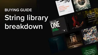 Overwhelmed by Choice? Try Our String Library Buying Guide