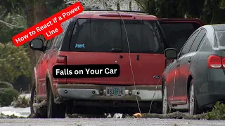 How to React and what to do if a power line falls on your car