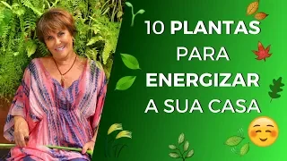 10 Plantas para Energizar Sua Casa!!