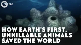 How Earth's First, Unkillable Animals Saved the World