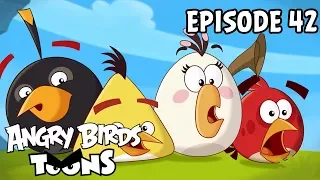 Angry Birds Toons | Hiccups - S1 Ep42