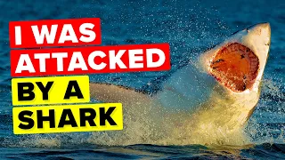 "I Was Attacked By A Shark"