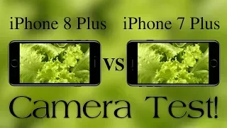 iPhone 8 Plus Vs iPhone 7 Plus Video & Still Image Quality Comparison! Camera Test
