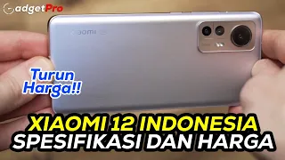 Turun Harga!! XIAOMI 12 Indonesia - Spesifikasi dan Harga, RAM 8GB, Storage 256GB, SoC SD8 Gen1