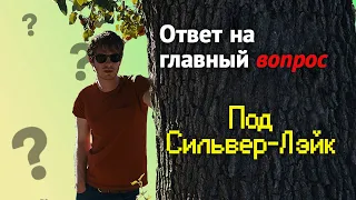 Об одной интерпретации "Под Сильвер-Лэйк" (Under the Silver Lake)