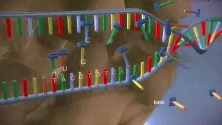Molecular Basis Of Inheritance | Animation Video | Genetics | Class 12 Biology | NEET