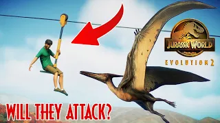 10 TIPS for using the ZIPLINE ATTRACTION | Jurassic World Evolution 2 park building Tips