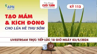 APN - TẠO MẦM VÀ KÍCH ĐÒNG CHO LÚA HÈ THU SỚM | TRÒ CHUYỆN CUỐI TUẦN #APN #anphatnong #tạomamlua