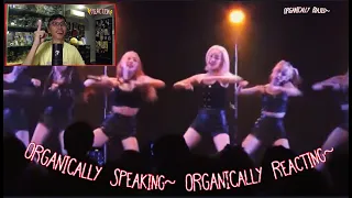 SECRET NUMBER - 'GOT THAT BOOM' Japan Ver LIVE~! | Shibuya 2023 (Organic Reaction)