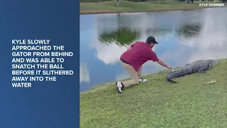 Florida golfer gets ball back from alligator