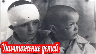 Кто за это ответит? Нижне-Чирская1942г.