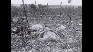 Крах австро-германского блицкрига. Восточно-Прусская операция 1914 г. Потери Северо-Западного фронта