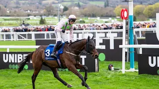 GAELIC WARRIOR sparkles in the 2024 Arkle Challenge Trophy