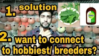 Best solution for sudden death of birds. | Want to sale purchase?? Platform for all hobbiest/breeder