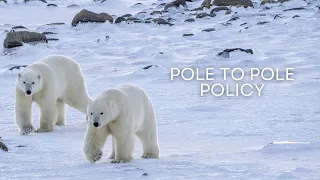 Pole to Pole Policy (Gr 9-12) | Tundra Connections