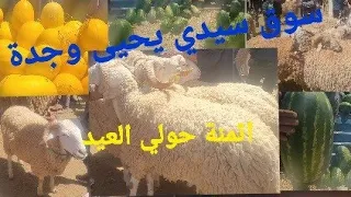 سوق سيدي يحيى وجدة 16/06/2023 اثمنة حولي عيد الأضحى