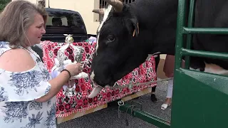 PEZINHO DA FAMILIA LOPES SÃO BARTOLOMEU