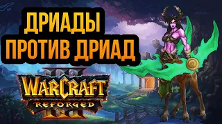 Wanderbraun и прекрасные дриады!!! Warcraft 3 1X1