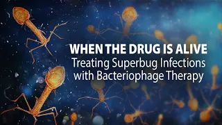 When the Drug is Alive: Treating Superbug Infections with Bacteriophage Therapy