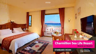 فندق شارمليون سي لايف شرم الشيخ، تصوير الغرفة | Charmillion Sea Life Resort Sharm, Room videography