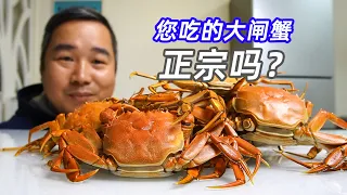 大闸蟹有几种，您吃的正宗吗？为什么养殖大闸蟹比野生的好