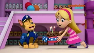 Paw Patrol : la Pat'Patrouille | L'anniversaire de Chase | NICKELODEON JUNIOR