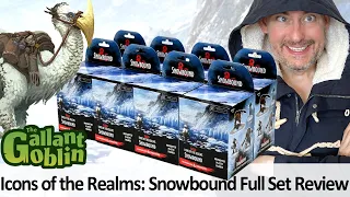 Snowbound Full Set Review - WizKids D&D Icons of the Realms Prepainted Minis