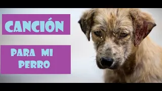 Canción para mi perro.