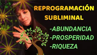 🌟La MEJOR REPROGRAMACIÓN🌟para la ABUNDANCIA, RIQUEZAS, PROSPERIDAD| HIPNOSIS para DORMIR🌟Leo Bolduc